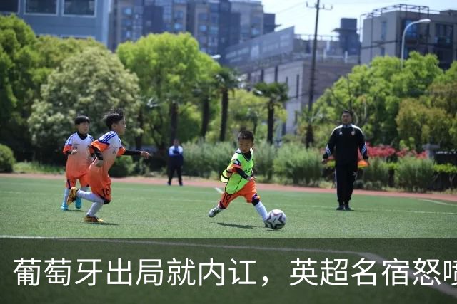 葡萄牙出局就内讧，英超名宿怒喷C罗：队友敢怒不敢言，你是祸首